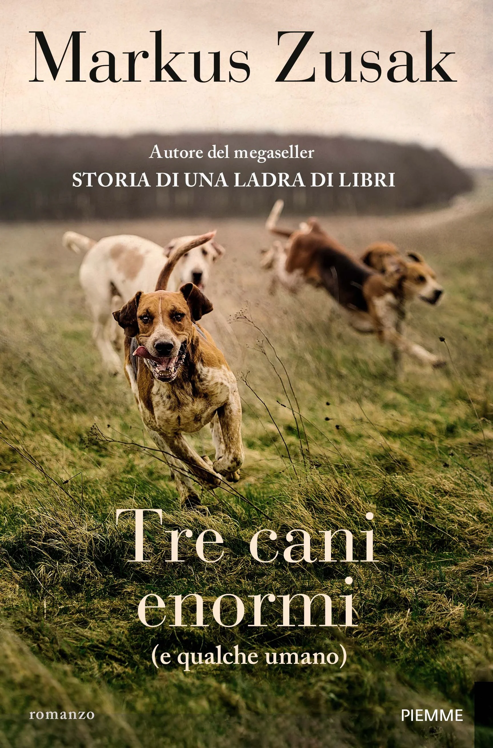 Three Wild Dogs (and the truth) — Markus Zusak